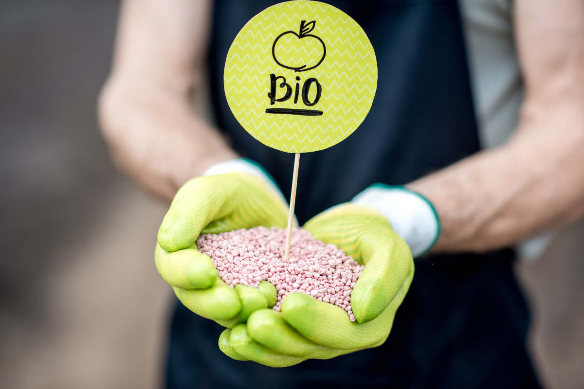 certificazioni biologiche